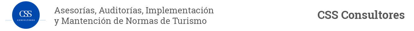 CSS Consultores